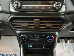Ford EcoSport DK68ZXG