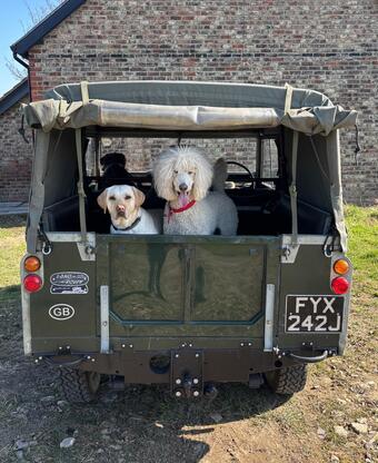 1971 Land Rover Series II