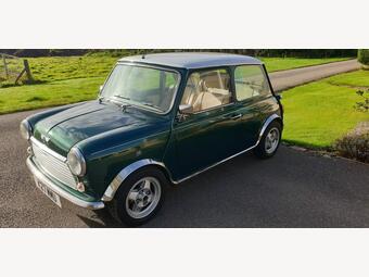 Rover Mini 1993