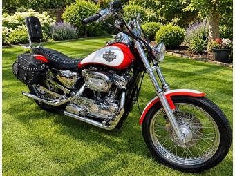 Harley-Davidson Sportster Custom Cruiser 1200 Custom