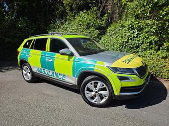 Skoda Kodiaq SUV 2.0 TDI SE L DSG 4WD Euro 6 (s/s) 5dr (5 Seat)
