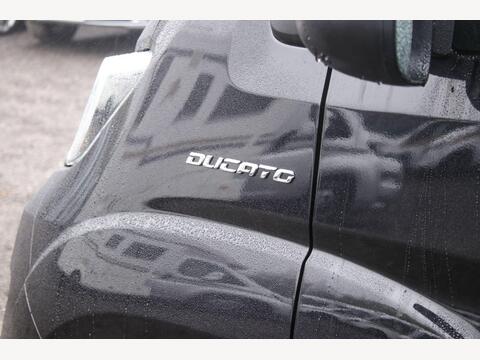 Sunlight Cliff 600 Adventure Edition