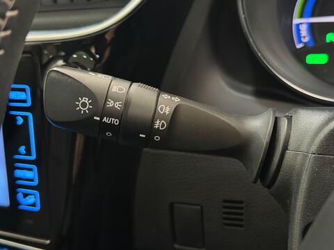 Auris