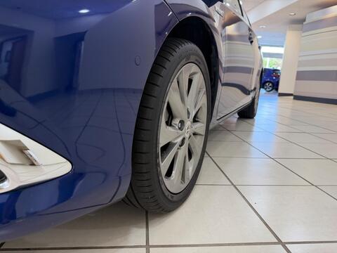Auris
