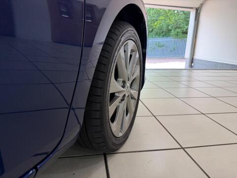 Auris