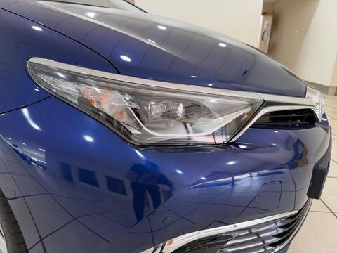 Auris