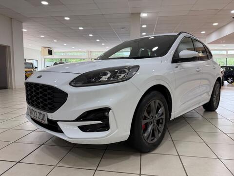 Kuga