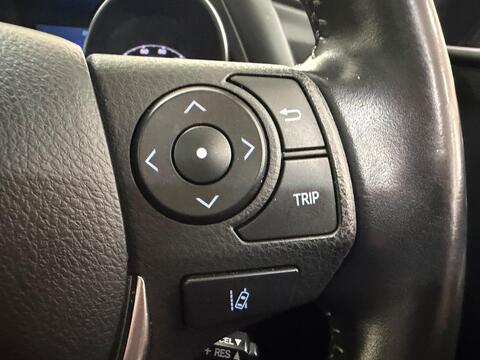 Auris