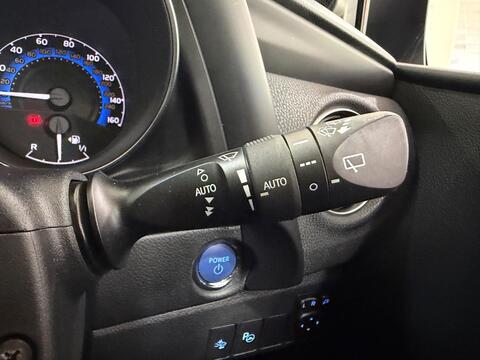 Auris