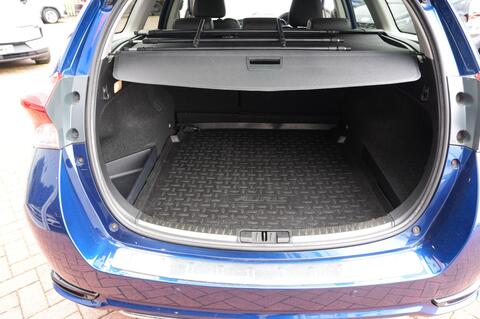 Auris