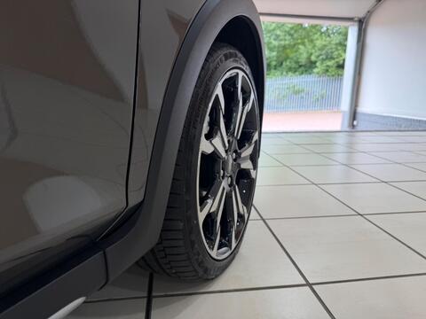 Fiesta