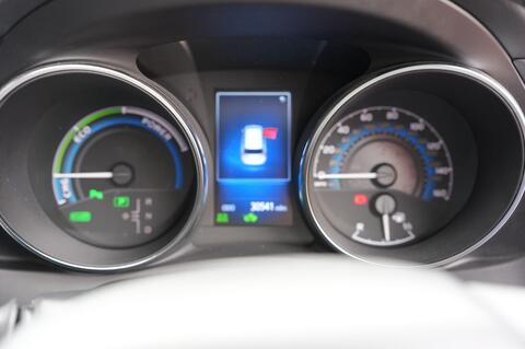 Auris