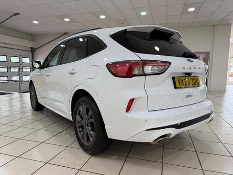 Kuga
