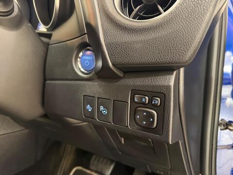 Auris