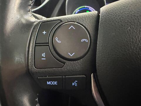 Auris