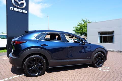 CX-30