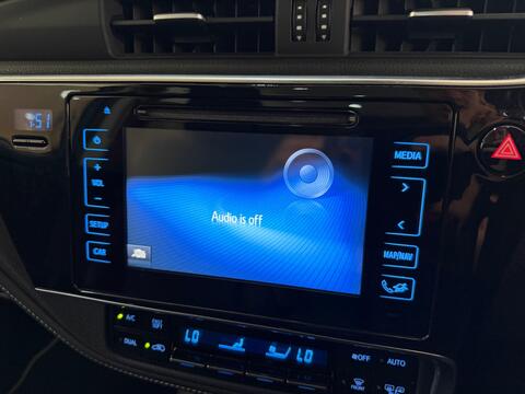 Auris