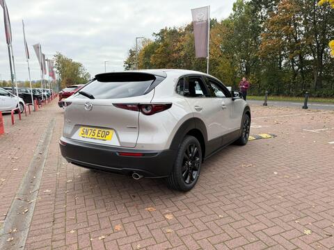 CX-30