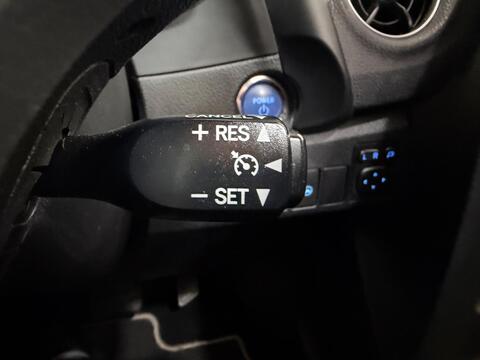 Auris