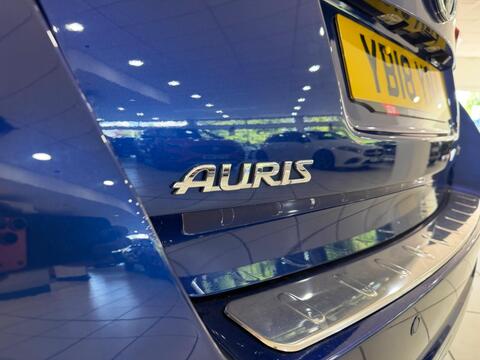 Auris