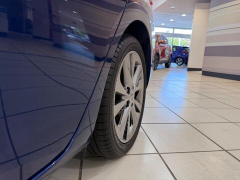Auris