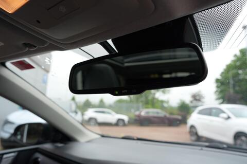 Auris