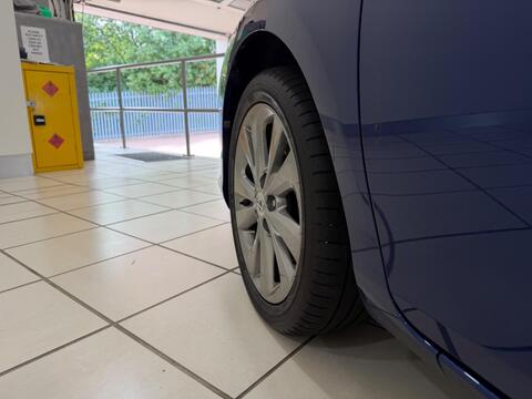 Auris