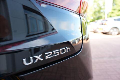 UX