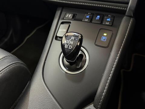 Auris