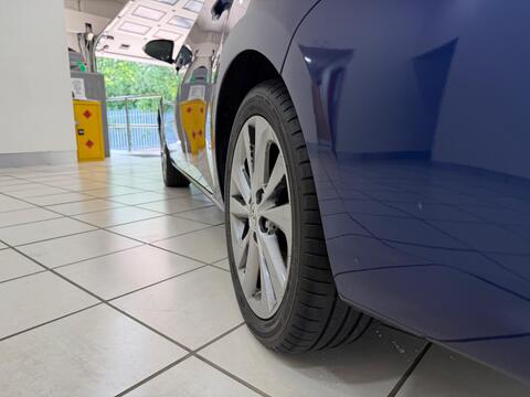 Auris