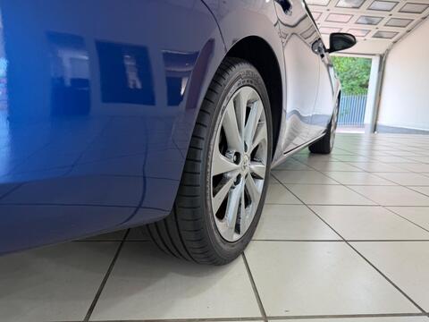 Auris