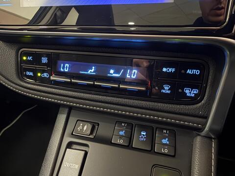 Auris