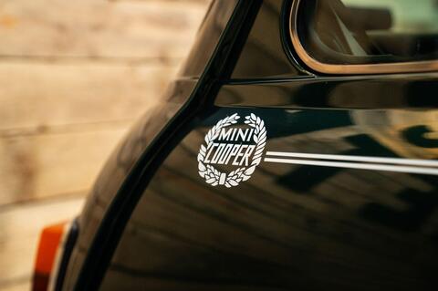 Rover Mini view 9