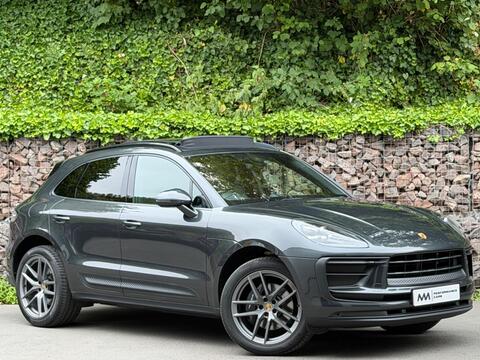 Macan