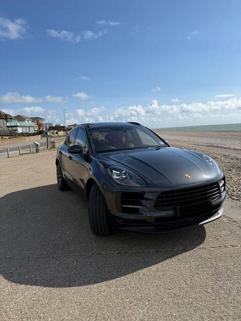 Macan