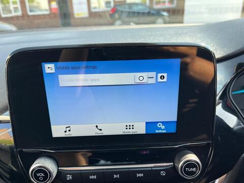 Ford Fiesta view 41