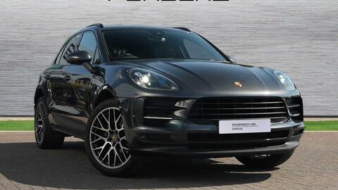 Macan