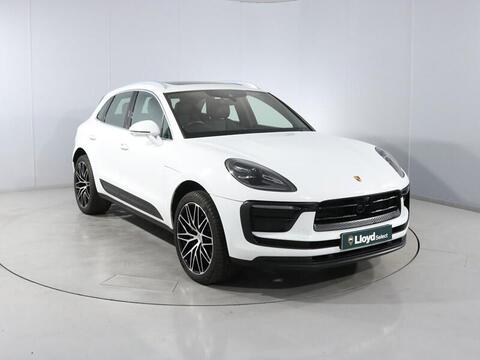 Macan