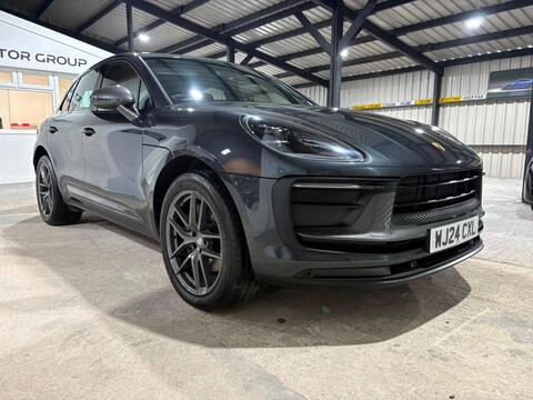 Macan