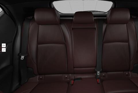 Seats Rear