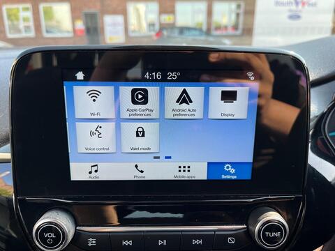 Ford Fiesta view 42