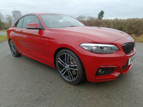 BMW 2 Series Coupe 2.0 220i GPF M Sport Auto Euro 6 (s/s) 2dr