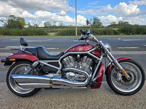 Harley-Davidson V-Rod Custom Cruiser 1247 VRSCF Muscle