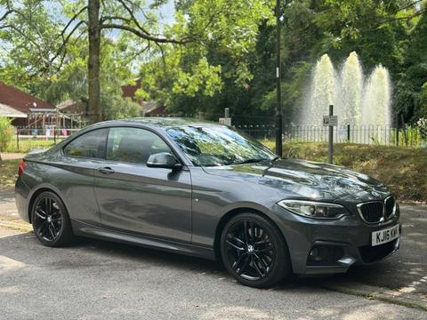 BMW 2 Series Coupe 2.0 228i M Sport Auto Euro 6 (s/s) 2dr