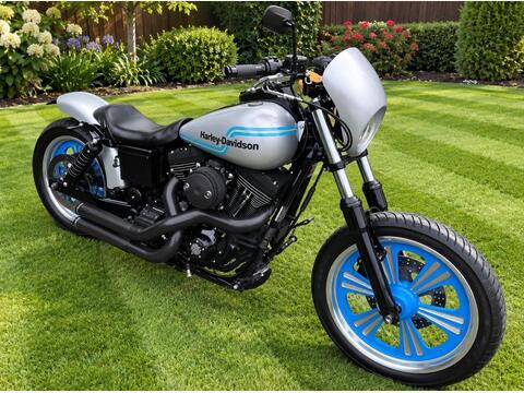 Harley-Davidson Dyna Custom Cruiser