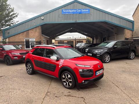 Citroen C4 Cactus Hatchback 1.2 PureTech Rip Curl Euro 6 (s/s) 5dr