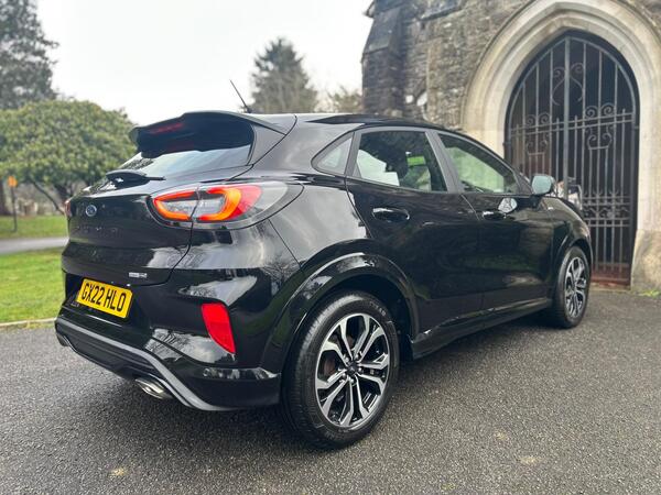 Ford Puma view 2