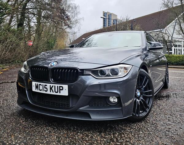 BMW 3 Series view 5