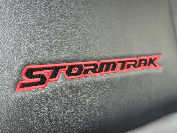 Ford Ranger 2.0 EcoBlue Stormtrak Pickup Double Cab 4dr Diesel Auto 4WD Euro 6 (s/s) (213 ps)
