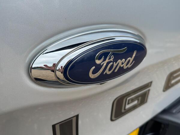 Ford Ranger 2.0 EcoBlue Wildtrak Auto 4WD Euro 6 (s/s) 4dr